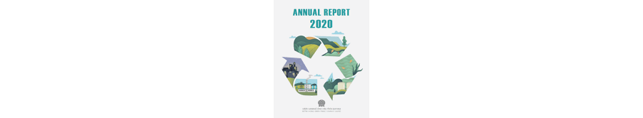 Annual Report 2020